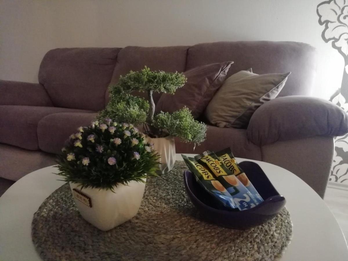 Apartment Green Free Private Parking Novi Sad Exterior foto